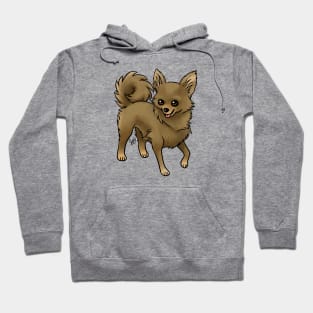 Dog - Chihuahua - Long Haired - Chocolate Hoodie